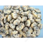 WEI-CHUAN - COOKED BABY CLAM MEAT (14OZ)