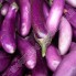 Chinese Eggplant / LB