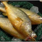 大黄花鱼 / 3磅装