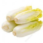 娃娃菜