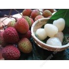 新鲜荔枝 / 磅