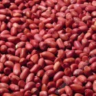 散装红皮花生米 / 3磅装